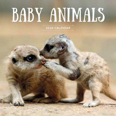 2024 Baby Animals Calendar cover