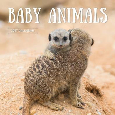 2027 Baby Animals Calendar cover
