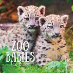 2024 Zoo Babies Calendar thumbnail
