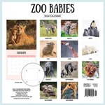 2024 Zoo Babies Calendar alternate 3
