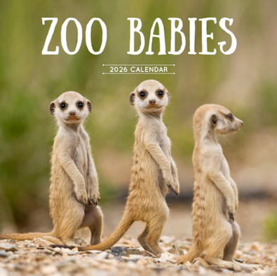 2026 Zoo Babies Calendar cover