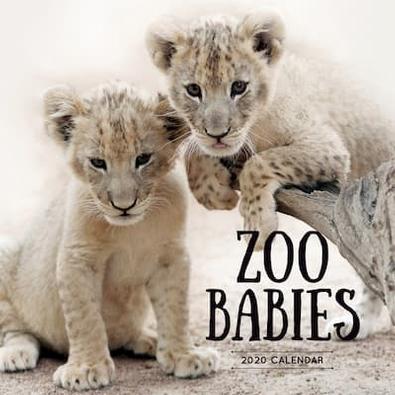 Zoo Babies 2020 Calendar cover