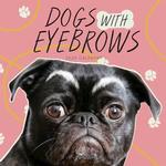 Dogs with Eyebrows 2020 Calendar