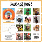 2024 Sausage Dogs Calendar alternate 3