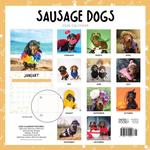 2026 Sausage Dogs Calendar alternate 3