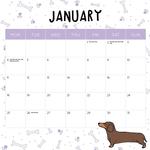 2027 Sausage Dogs Calendar alternate 2