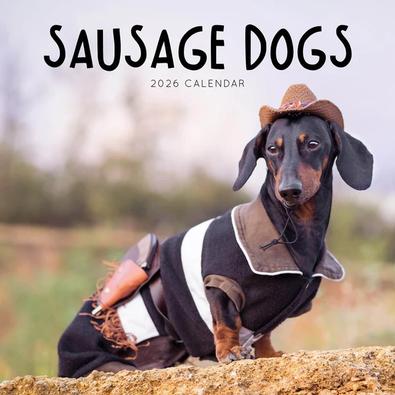 2026 Sausage Dogs Calendar cover