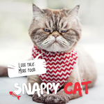 2024 Snappy Cat Calendar thumbnail