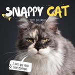 2027 Snappy Cat Calendar