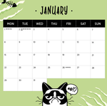 2024 Snappy Cat Calendar alternate 2