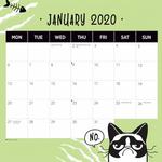 Snappy Cats 2020 Calendar alternate 1