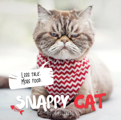 2024 Snappy Cat Calendar cover