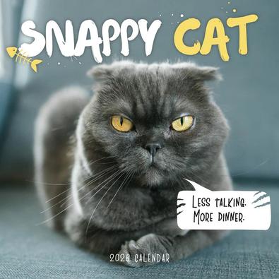 2026 Snappy Cat Calendar cover