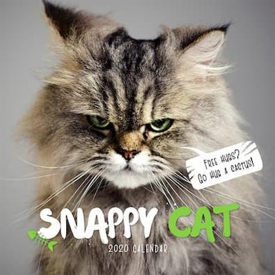 Snappy Cats 2020 Calendar cover