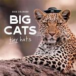 Big Cats Tiny Hats 2020 Calendar