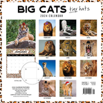 2024 Big Cats Tiny Hats Calendar alternate 3