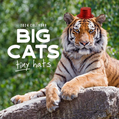 2024 Big Cats Tiny Hats Calendar cover