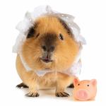 2027 This Little Piggy Calendar alternate 1