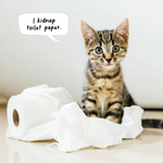 2026 Cat Crimes Calendar alternate 1
