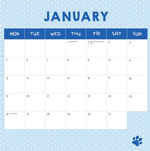 2026 Cat Crimes Calendar alternate 2
