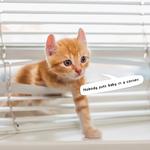 2027 Cat Crimes Calendar alternate 1