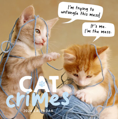 2024 Cat Crimes Calendar cover