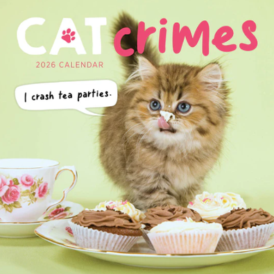2026 Cat Crimes Calendar cover