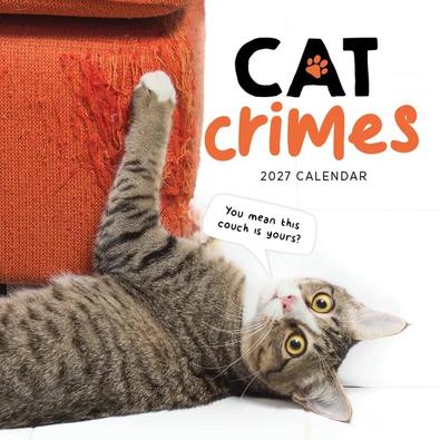 2027 Cat Crimes Calendar cover