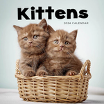 2024 Kittens Calendar thumbnail