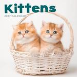 2027 Kittens Calendar