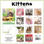 2024 Kittens Calendar alternate 3
