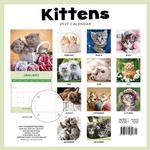 2027 Kittens Calendar alternate 3