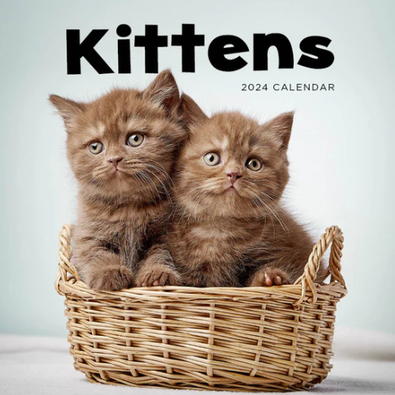 2024 Kittens Calendar cover