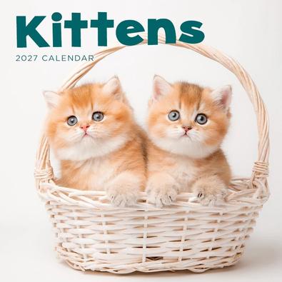 2027 Kittens Calendar cover