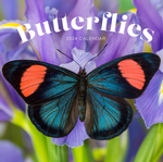 2024 Butterflies Calendar thumbnail