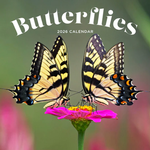 2026 Butterflies Calendar thumbnail