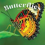 2027 Butterflies Calendar