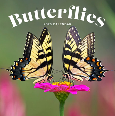 2026 Butterflies Calendar cover