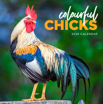 2024 Colourful Chicks Calendar cover