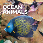 2024 Colourful Ocean Animals Calendar thumbnail
