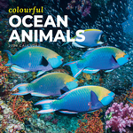 2026 Colourful Ocean Animals Calendar thumbnail