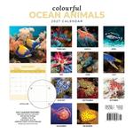 2027 Colourful Ocean Animals Calendar alternate 3