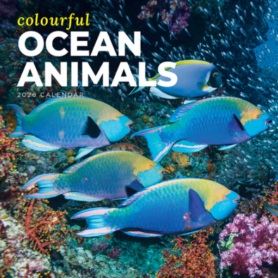2026 Colourful Ocean Animals Calendar cover