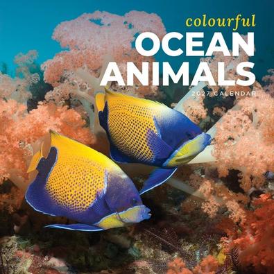2027 Colourful Ocean Animals Calendar cover