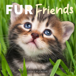 2026 Fur Friends Calendar thumbnail