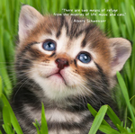 2026 Fur Friends Calendar alternate 1