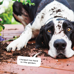 2026 Guilty Dogs Calendar alternate 1