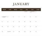 2027 Illustrated Botanicals Calendar alternate 2