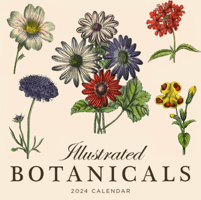 2024 Illustrated Botanicals Calendar cover