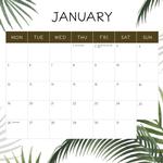 2026 Island Life Calendar alternate 2